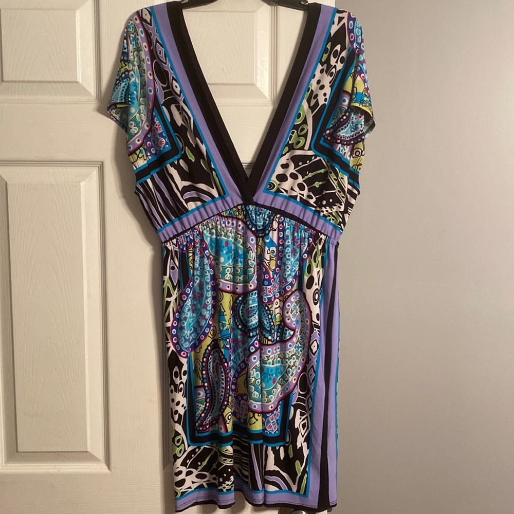 Snap Large Multicolor V-Neck Dress